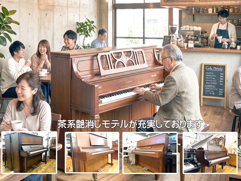 �������ԥ��Ρ�̾�Ų��Υԥ�������Ź�����³ڴ�