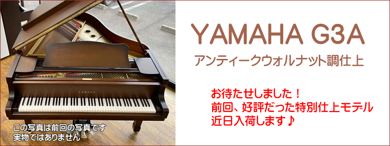 ̾�Ų��Υԥ�������Ź�����³ڴ��ޥ�G3A������ƥ�����������ʥå�