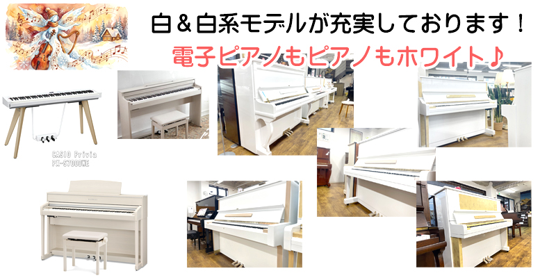 ̾�Ų��Υԥ�������Ź�����³ڴ�